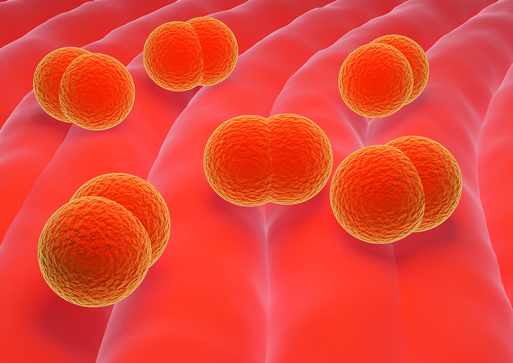 meningitis ACWY travel vaccination milton keynes.